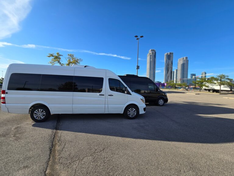 20250830_181311.jpg