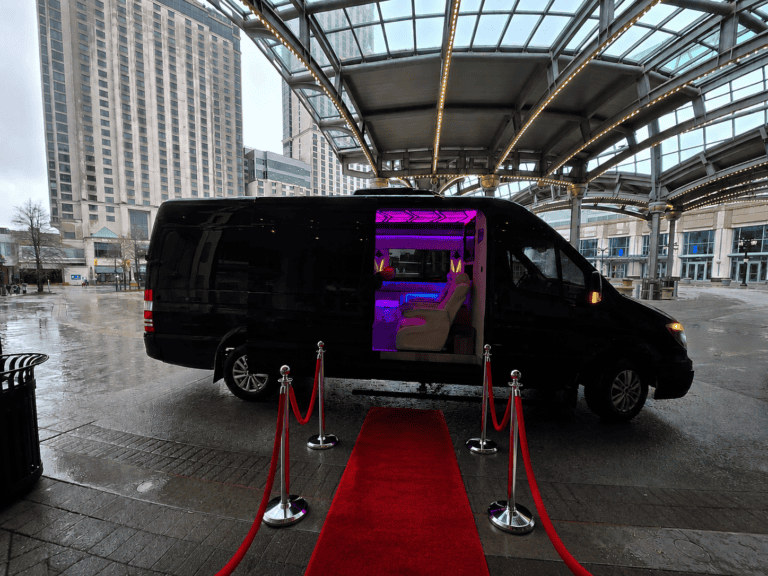 Red carpet